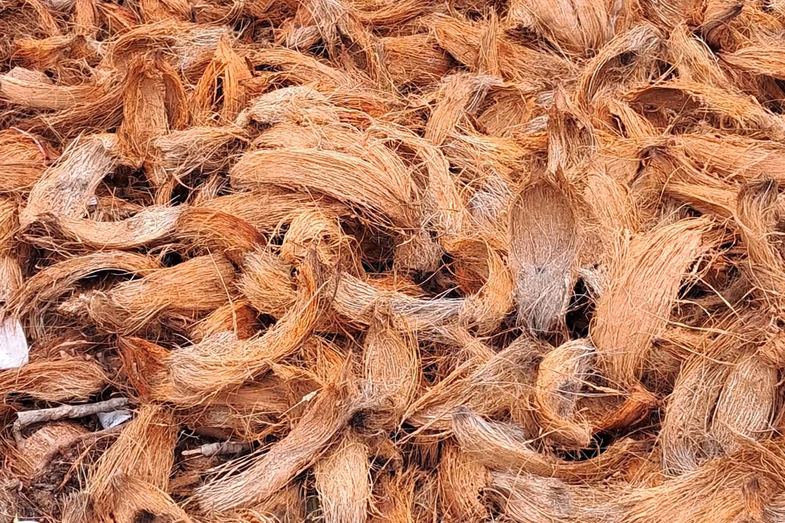 Coconut husks — Kangeyam coir belt