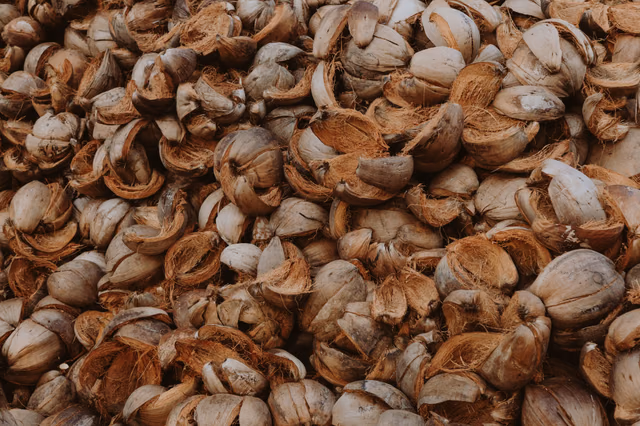 Dried coconut shells