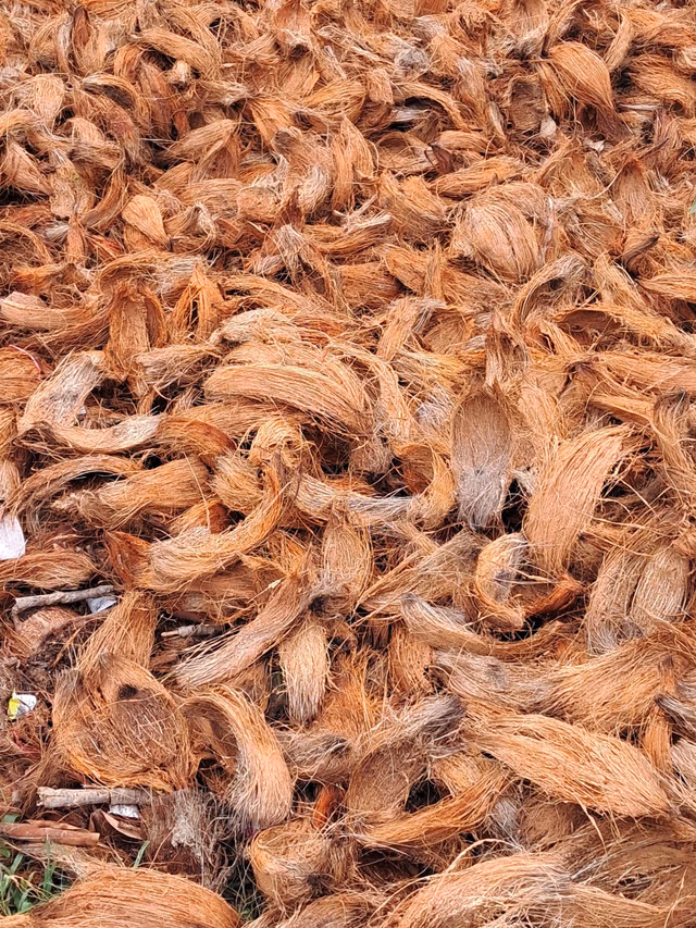 Coconut husks