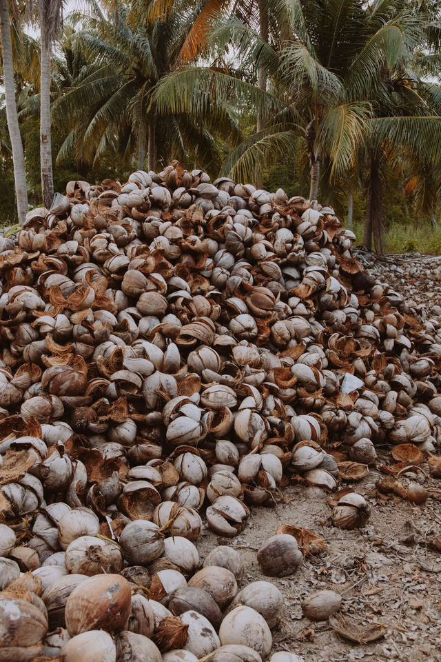 Coconut husk pile