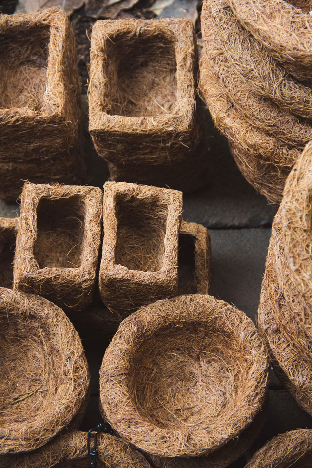 Coir pots and planters