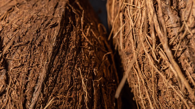 Coconut fibre