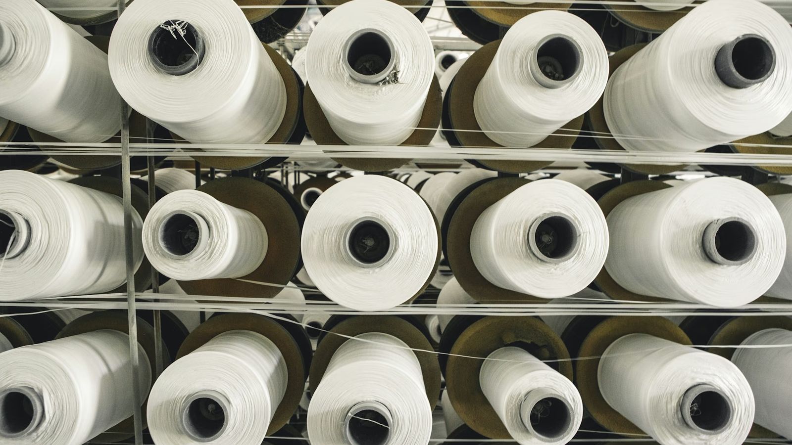 Rows of white yarn cones viewed from above on a spinning frame