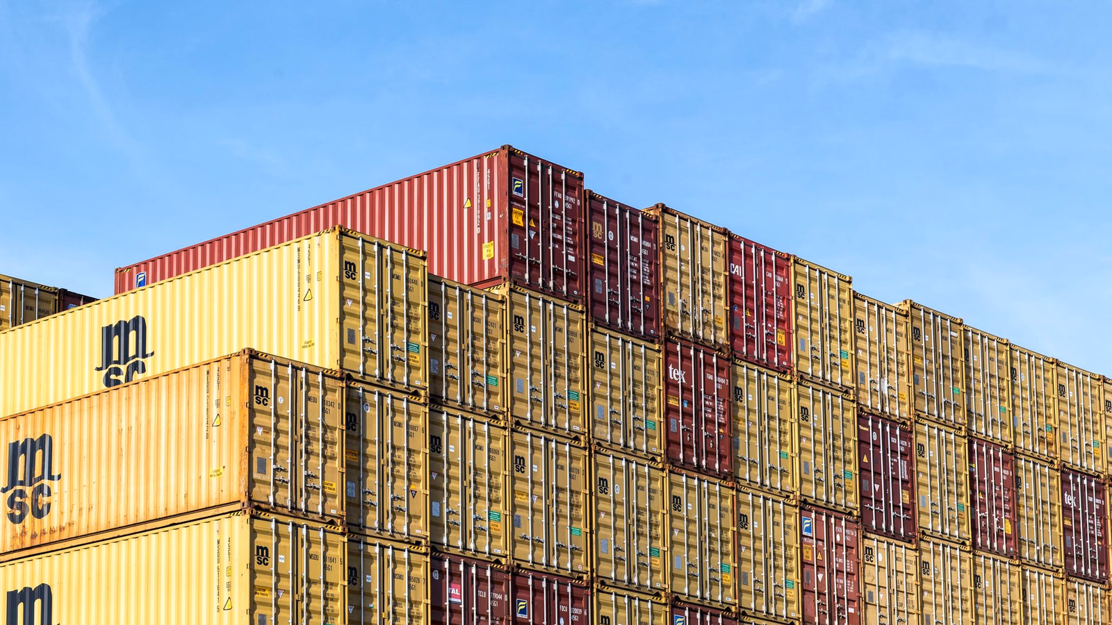 Customs examination and cargo staging