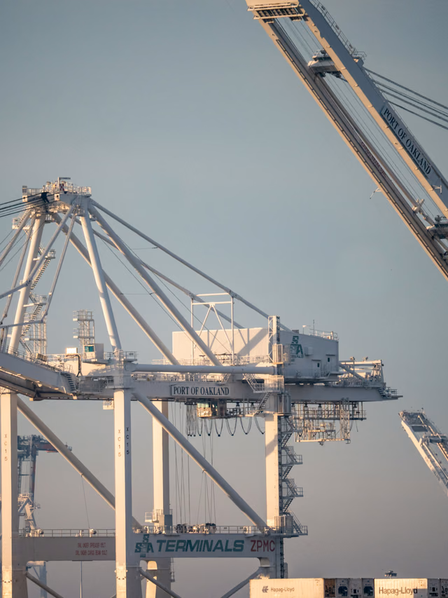 Port crane and customs gate